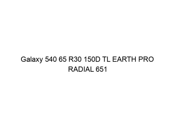 Galaxy 540 65 R30 150D TL EARTH PRO RADIAL 651