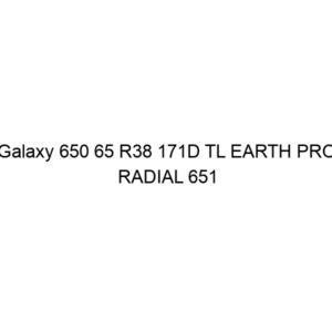 Galaxy 650 65 R38 171D TL EARTH PRO RADIAL 651