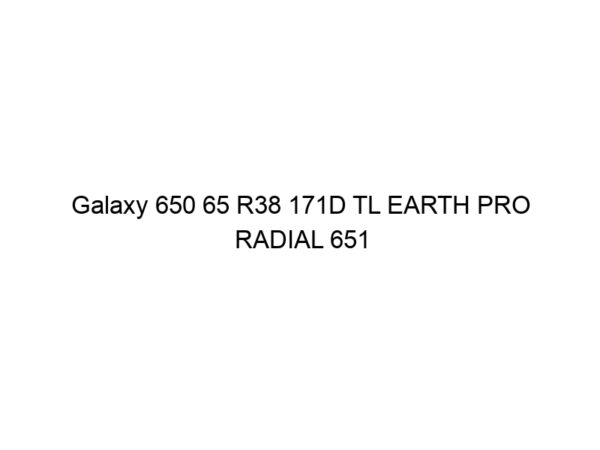 Galaxy 650 65 R38 171D TL EARTH PRO RADIAL 651