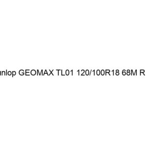 Dunlop GEOMAX TL01 120/100R18 68M R TL