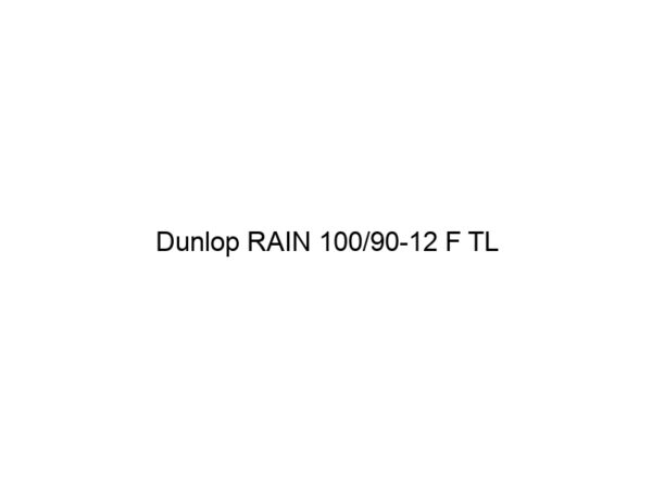 Dunlop RAIN 100/90-12 F TL
