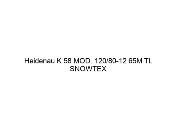 Heidenau K 58 MOD. 120/80-12 65M TL SNOWTEX