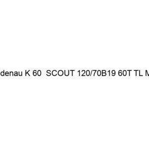 Heidenau K 60  SCOUT 120/70B19 60T TL M+S