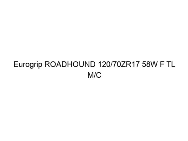 Eurogrip ROADHOUND 120/70ZR17 58W F TL M/C