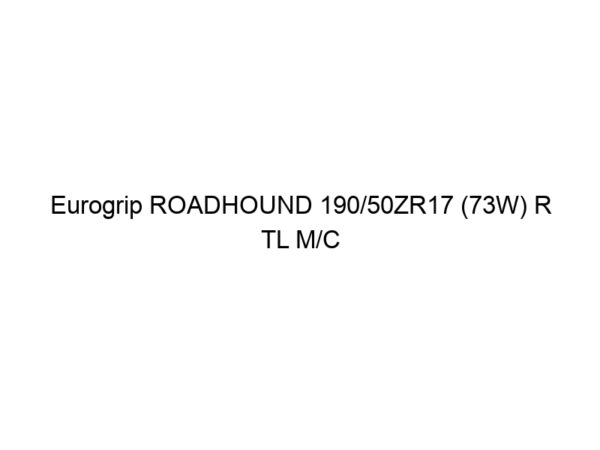 Eurogrip ROADHOUND 190/50ZR17 (73W) R TL M/C