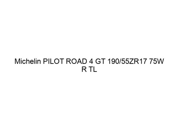 Michelin PILOT ROAD 4 GT 190/55ZR17 75W R TL (DOT22)