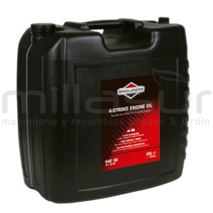 BRIGGS & STRATTON 100046E Aceite Sae 30