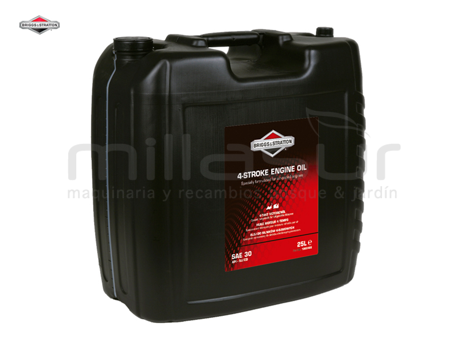 BRIGGS & STRATTON 100046E Aceite Sae 30