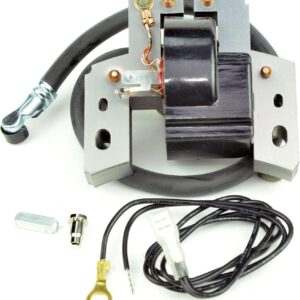 55-4625 Bobina B&s Quantum + Europa - Reymotor