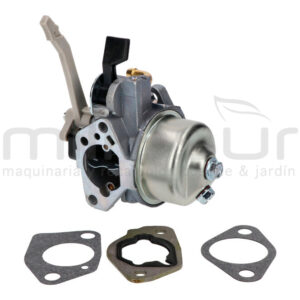 BRIGGS & STRATTON 799882 Carburador - Reymotor