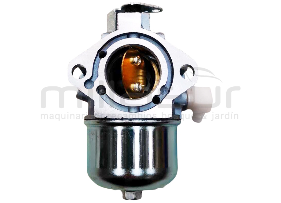 55-4565 Carburador B&s 28xxxx - Valvulas Laterales - 11