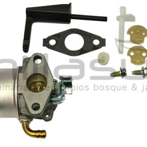 BRIGGS & STRATTON 798653 Carburador Reemplaza A 790290 - Reymotor