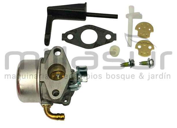 BRIGGS & STRATTON 798653 Carburador Reemplaza A 790290 - Reymotor