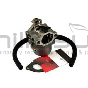 BRIGGS & STRATTON 593432 Carburador - Reemplaza A 498027 799728 - Reymotor