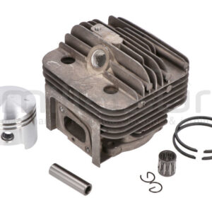 ANOVA D52R-009 Cilindro Completo D52R (19+33-36) - Reymotor