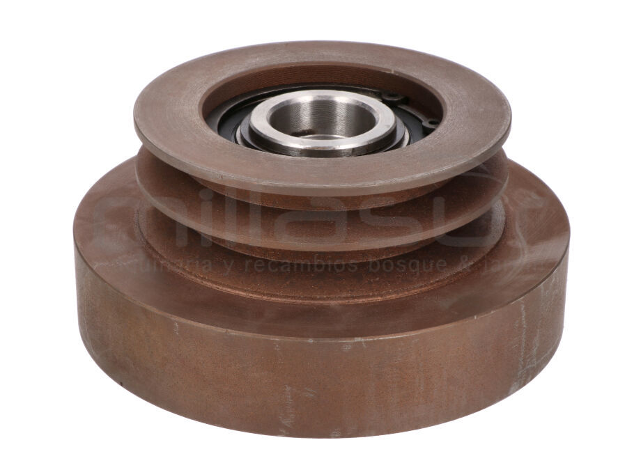 ANOVA BIO300-007 Conjunto Embrague Polea BIO300 (13) - Reymotor