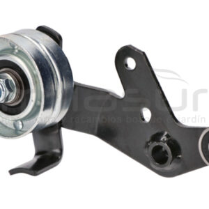 ANOVA DC361-016 Conjunto Polea Tensora DC361 (22) - Reymotor