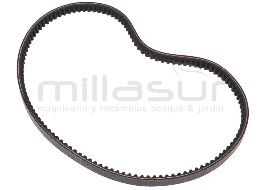 ANOVA MC509-048 Correa 17X940Li MC509 (D7) - Reymotor
