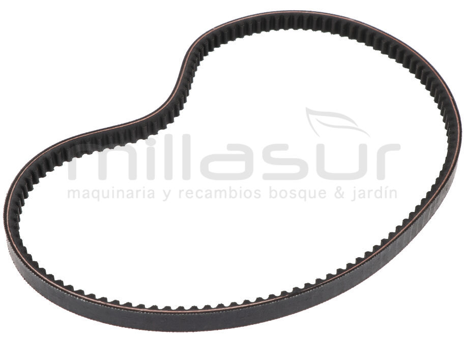 ANOVA MC509-048 Correa 17X940Li MC509 (D7) - Imagen 2