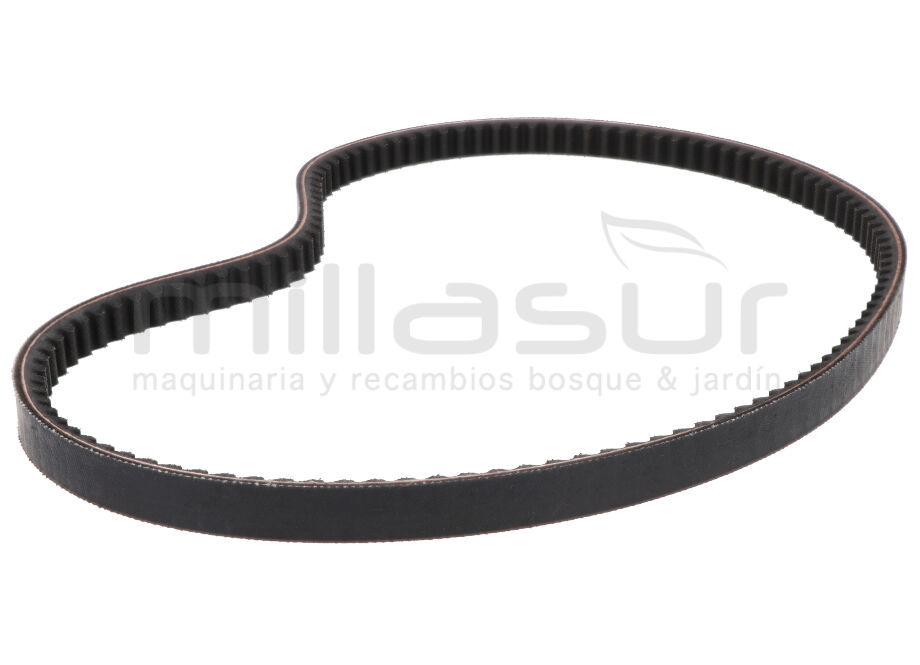 ANOVA MC509-048 Correa 17X940Li MC509 (D7) - Imagen 3