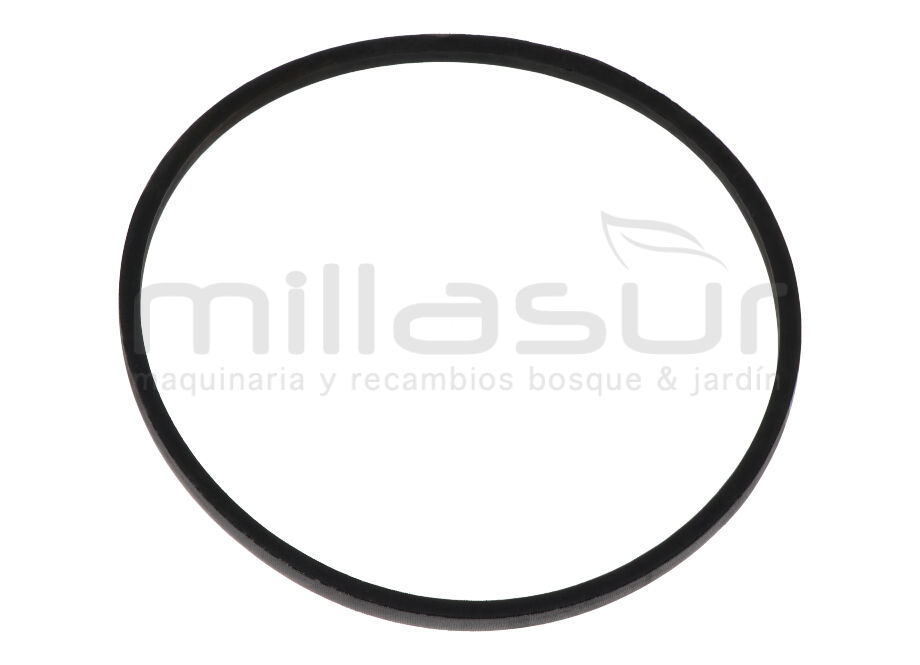 ANOVA BIO150S-011 Correa 1080LI BIO150S (47) - Reymotor