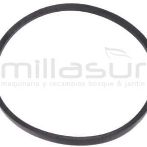 ANOVA BIO300-005 Correa Plato Cuchillas B965 LI BIO300 (7) - Reymotor