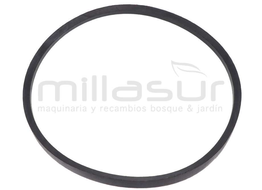 ANOVA BIO300-005 Correa Plato Cuchillas B965 LI BIO300 (7) - Reymotor