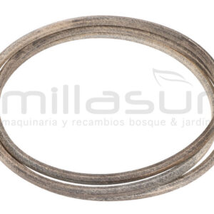 ANOVA TC92-0725 Correa Corte TC92 AA105 (07 25) - Reymotor