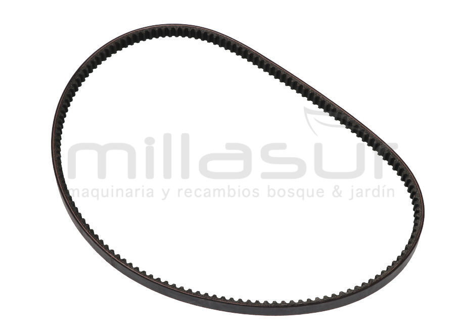 ANOVA DM600-007 Correa Cuchillas DM600 (36) - Reymotor