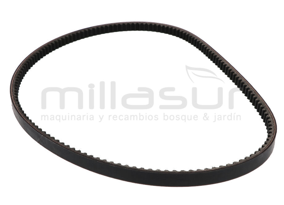 ANOVA DM600-007 Correa Cuchillas DM600 (36) - Imagen 2
