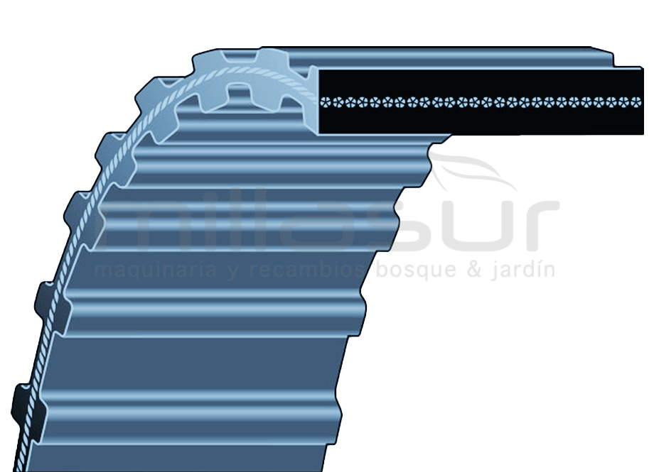 55-550 Correa Dentada Twin Cut 102 1600-DS8M-20 (200 Dientes) - Reymotor