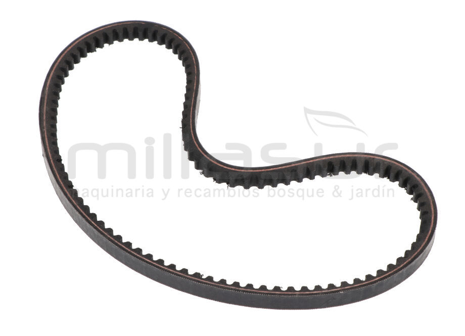 ANOVA OR7320-037 Correa OR7320 13x785 - Reymotor