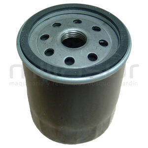 55-252 Filtro Aceite B&s Motores 2 Cilindros - Reymotor