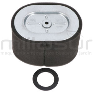 BRIGGS & STRATTON 799818 Filtro Aire - Reymotor