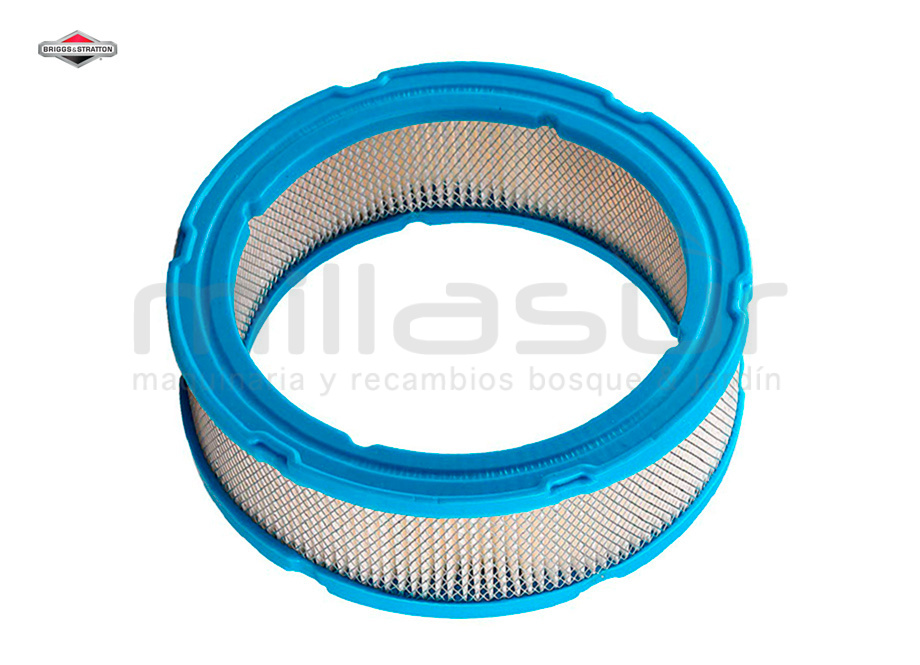 BRIGGS & STRATTON 394018S Filtro Aire - Reymotor