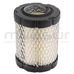 55-2104 Filtro Aire B&s 11