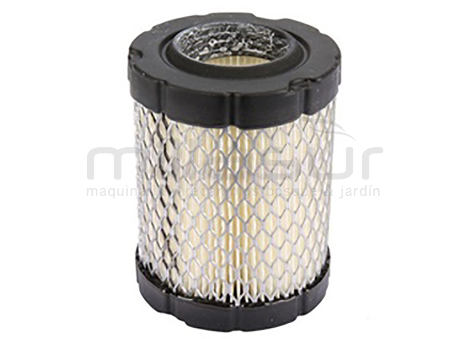 55-2104 Filtro Aire B&s 11
