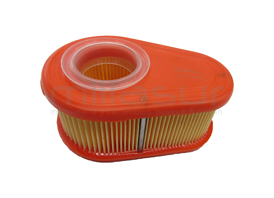 55-2118 Filtro Aire B&s 7 HP Vert.( DOV70) - Reymotor
