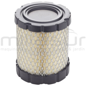 55-2160 Filtro Aire B&s Adaptable A 44M977