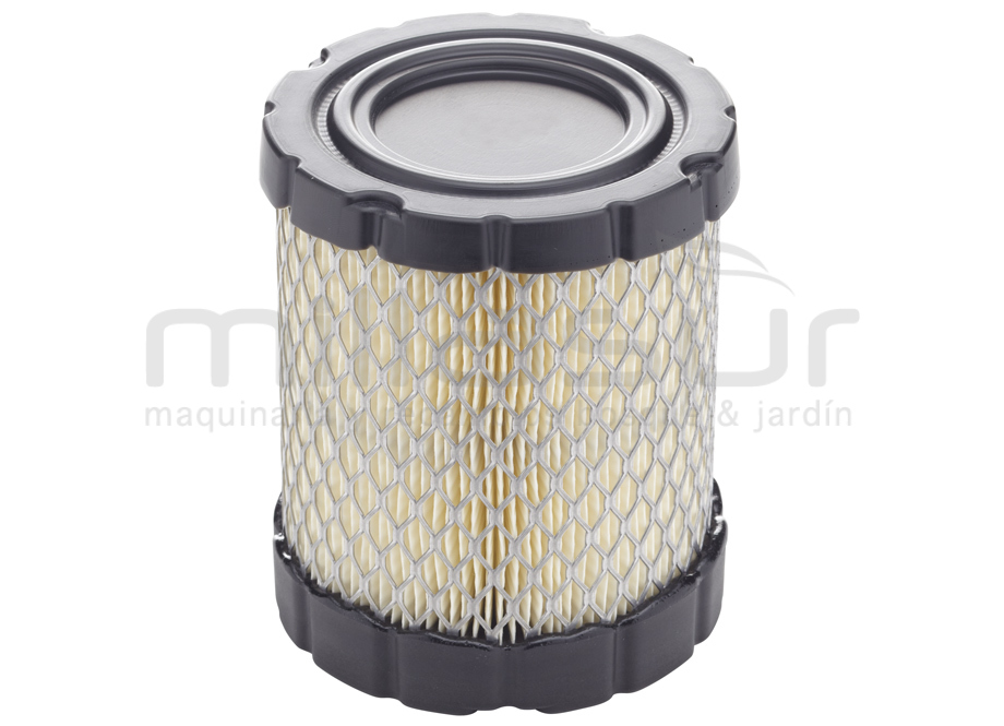 55-2160 Filtro Aire B&s Adaptable A 44M977