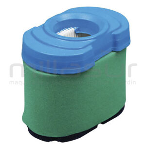 55-2139 Filtro Aire B&s Series 40-44-49 Vet.- Intek 7220 - Reymotor
