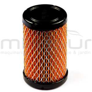 BRIGGS & STRATTON 594201 Filtro DE Aire -- Sustituye A 591334 - Reymotor