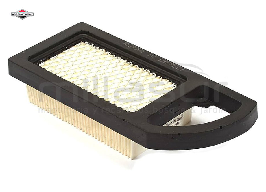 BRIGGS & STRATTON 794421 Filtro DE Aire / Sustituye A 797007 - Reymotor