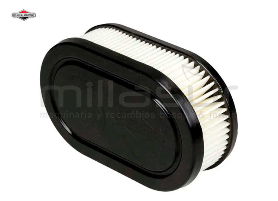BRIGGS & STRATTON 593260 Filtro DE Aire - Sustituye a 798452 - Imagen 3