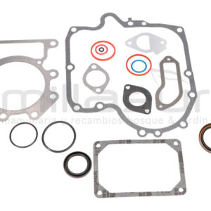 BRIGGS & STRATTON 796187 Juego DE Juntas Motor - Reymotor