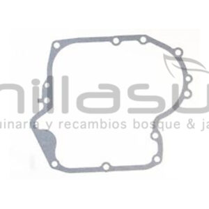 BRIGGS & STRATTON 697110 Junta DE Carter - Reymotor