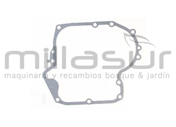 BRIGGS & STRATTON 697110 Junta DE Carter - Reymotor