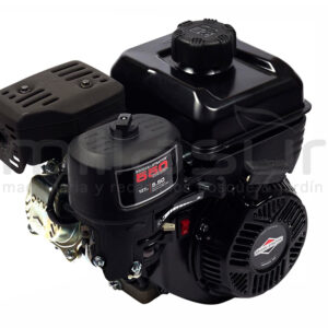BRIGGS & STRATTON 0831320249H5BF7001 Motor Briggs 550 3600 rpm (Ø19.05 X 62) - Reymotor