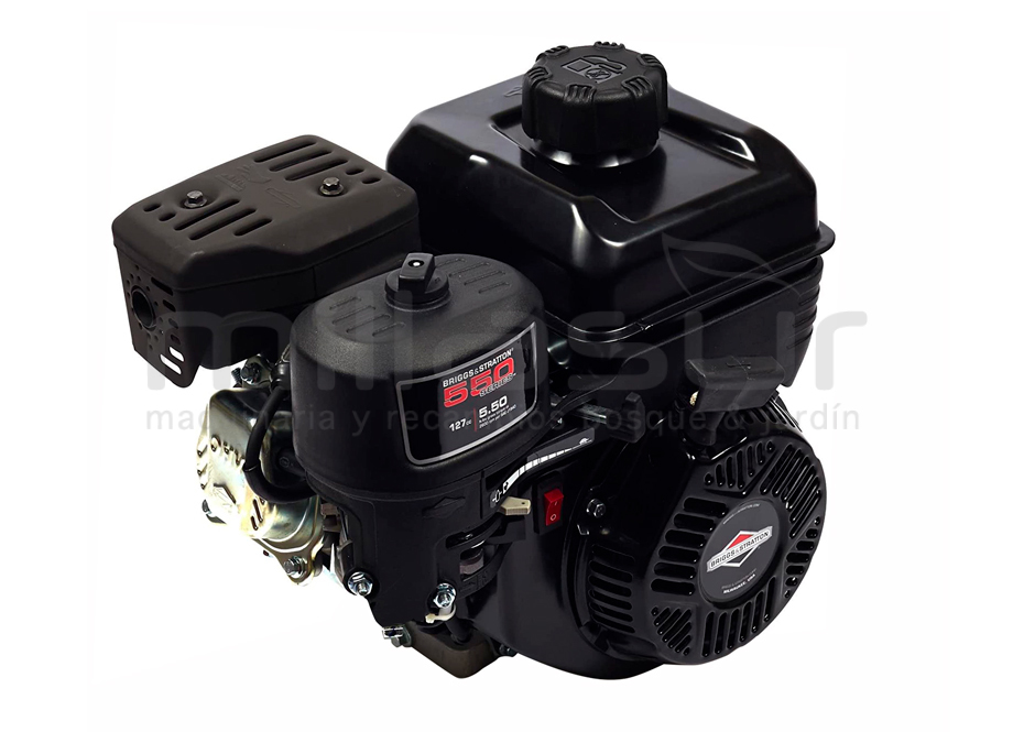 BRIGGS & STRATTON 0831320249H5BF7001 Motor Briggs 550 3600 rpm (Ø19.05 X 62) - Reymotor