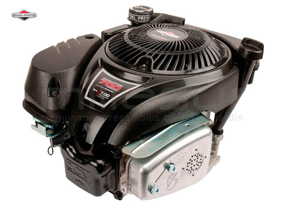 BRIGGS & STRATTON 1006025025H5YY1001 Motor B&s Dov 750SERIES (Ø25 x 80.2) Reemplaza A 1006025025H8YY1001 - Reymotor